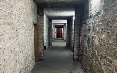 Online-Lab zu „Zwangsarbeit in Deutschland 1939-45“